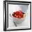 Mixed Fruit Dessert-David Munns-Framed Premium Photographic Print