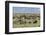 Mixed herd of wildebeest and zebras, Serengeti National Park, Tanzania, Africa-Adam Jones-Framed Photographic Print