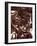 Mixed Melted Chocolate-Gareth Morgans-Framed Photographic Print
