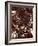 Mixed Melted Chocolate-Gareth Morgans-Framed Photographic Print