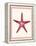 Mixed Nautical Coral on Cream a-Fab Funky-Framed Stretched Canvas