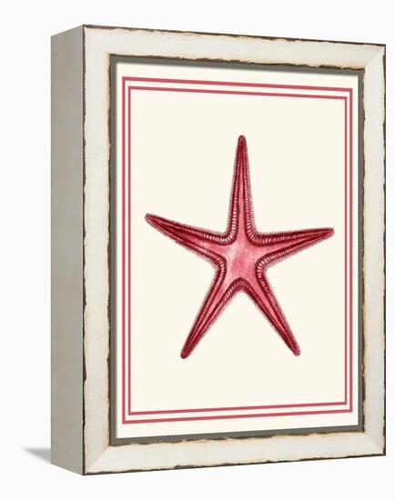 Mixed Nautical Coral on Cream a-Fab Funky-Framed Stretched Canvas