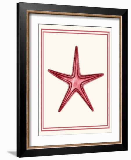 Mixed Nautical Coral on Cream a-Fab Funky-Framed Art Print