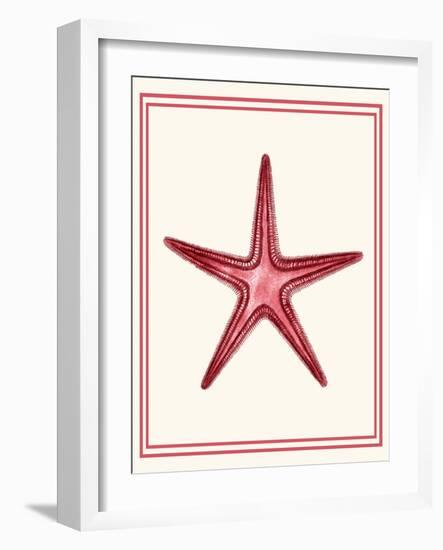 Mixed Nautical Coral on Cream a-Fab Funky-Framed Art Print