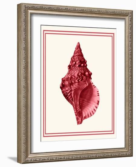 Mixed Nautical Coral on Cream c-Fab Funky-Framed Art Print