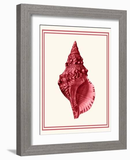 Mixed Nautical Coral on Cream c-Fab Funky-Framed Art Print