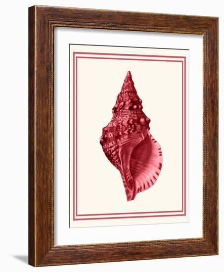Mixed Nautical Coral on Cream c-Fab Funky-Framed Art Print