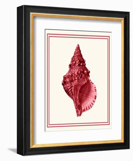 Mixed Nautical Coral on Cream c-Fab Funky-Framed Art Print