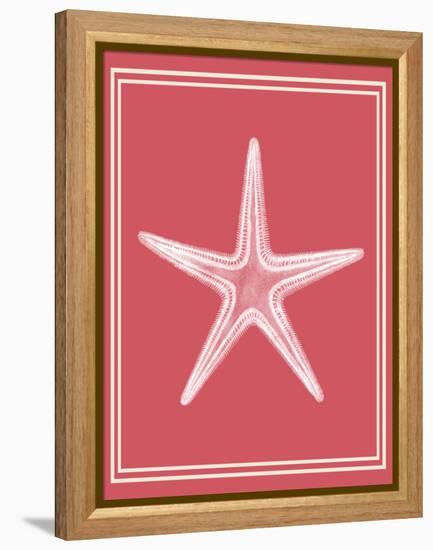 Mixed Nautical White on Coral f-Fab Funky-Framed Stretched Canvas