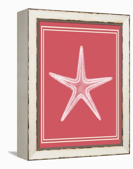 Mixed Nautical White on Coral f-Fab Funky-Framed Stretched Canvas