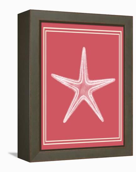 Mixed Nautical White on Coral f-Fab Funky-Framed Stretched Canvas
