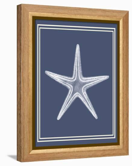 Mixed Nautical White on Indigo Blue a-Fab Funky-Framed Stretched Canvas