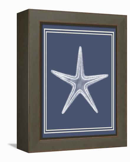 Mixed Nautical White on Indigo Blue a-Fab Funky-Framed Stretched Canvas