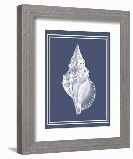 Mixed Nautical White on Indigo Blue c-Fab Funky-Framed Premium Giclee Print