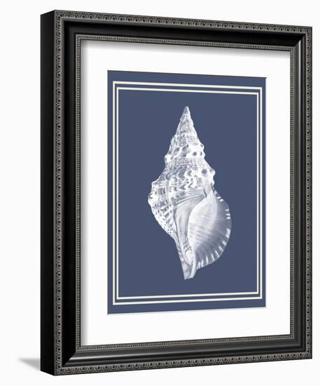 Mixed Nautical White on Indigo Blue c-Fab Funky-Framed Premium Giclee Print