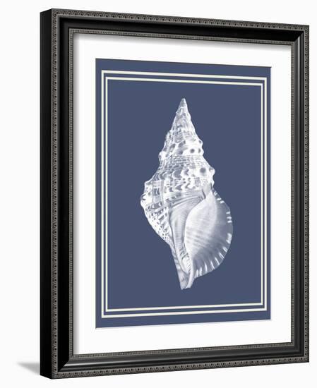 Mixed Nautical White on Indigo Blue c-Fab Funky-Framed Art Print