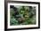 Mixed Plants In a Greenhouse-Adrian Thomas-Framed Photographic Print