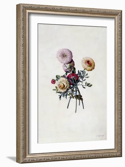 Mixed Ranunculas, C.1743-Georg Dionysius Ehret-Framed Giclee Print