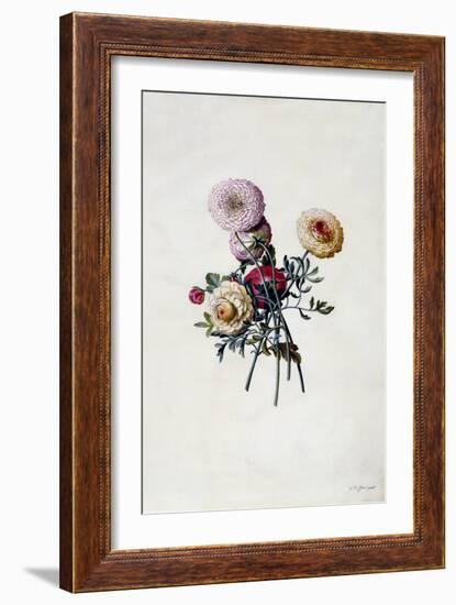 Mixed Ranunculas, C.1743-Georg Dionysius Ehret-Framed Giclee Print