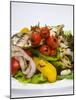 Mixed Salad with Grilled Vegetables-Giannis Agelou-Mounted Photographic Print