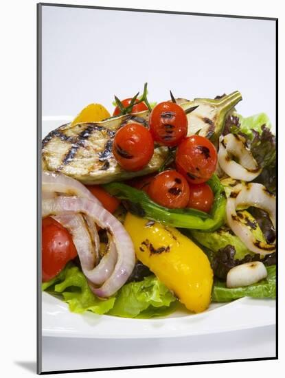 Mixed Salad with Grilled Vegetables-Giannis Agelou-Mounted Photographic Print