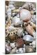 Premium Photographic Print