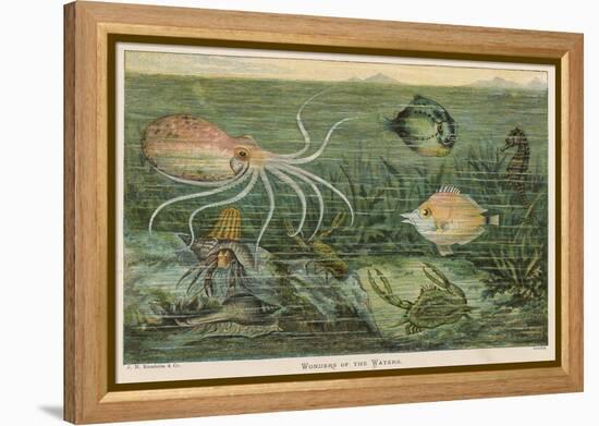 Mixture of Fish Octopus Crabs Sea Horses and Shellfish on the Sea Bed-null-Framed Premier Image Canvas