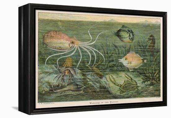 Mixture of Fish Octopus Crabs Sea Horses and Shellfish on the Sea Bed-null-Framed Premier Image Canvas