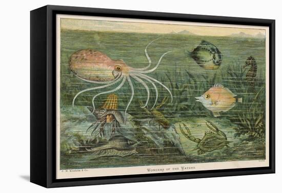 Mixture of Fish Octopus Crabs Sea Horses and Shellfish on the Sea Bed-null-Framed Premier Image Canvas