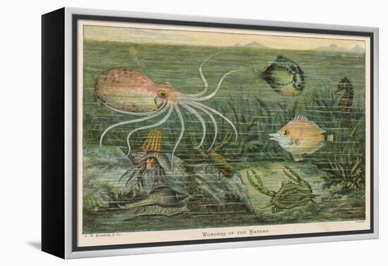 Mixture of Fish Octopus Crabs Sea Horses and Shellfish on the Sea Bed-null-Framed Premier Image Canvas