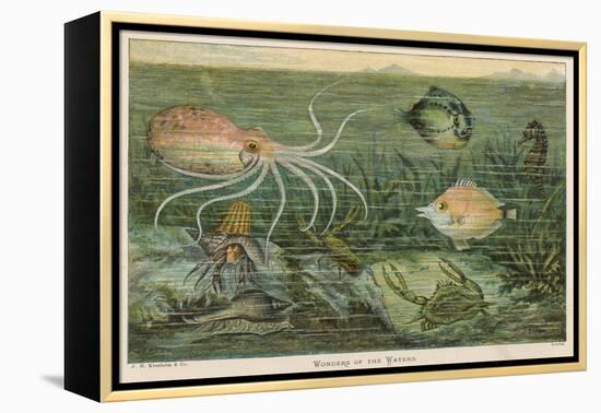Mixture of Fish Octopus Crabs Sea Horses and Shellfish on the Sea Bed-null-Framed Premier Image Canvas