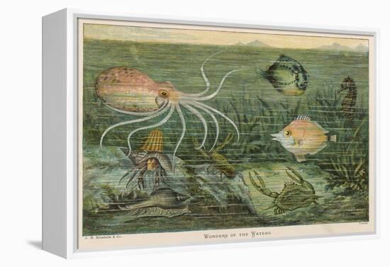 Mixture of Fish Octopus Crabs Sea Horses and Shellfish on the Sea Bed-null-Framed Premier Image Canvas