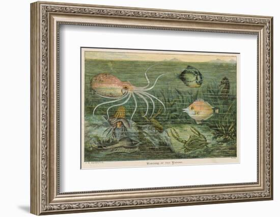 Mixture of Fish Octopus Crabs Sea Horses and Shellfish on the Sea Bed-null-Framed Photographic Print