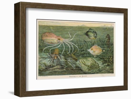 Mixture of Fish Octopus Crabs Sea Horses and Shellfish on the Sea Bed-null-Framed Photographic Print