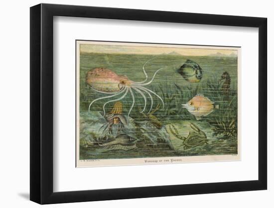 Mixture of Fish Octopus Crabs Sea Horses and Shellfish on the Sea Bed-null-Framed Photographic Print