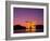 Miyajima Island, Itsukushima Shrine, Torii Gate, Night View, Honshu, Japan-Steve Vidler-Framed Photographic Print