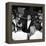 MLK Freedom Riders 1961-null-Framed Premier Image Canvas