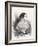 Mme. Montigny, 1842-Paul Gavarni-Framed Giclee Print