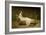 Mme Recamier nee Julie Bernard (1777-1849)-Jacques Louis David-Framed Giclee Print