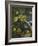 Mmm Trick or Treat-Sue Clyne-Framed Giclee Print