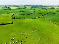 Aerial View of Endless Lush Pastures and Farmlands of Ireland. Beautiful Irish Countryside with Eme-MNStudio-Photographic Print