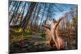Photographic Print