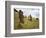 Moai at Rano Raraku on Easter Island-O. and E. Alamany and Vicens-Framed Photographic Print