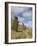 Moai Quarry, Rano Raraku Volcano, Unesco World Heritage Site, Easter Island (Rapa Nui), Chile-Michael Snell-Framed Photographic Print