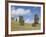 Moai Quarry, Rano Raraku Volcano, Unesco World Heritage Site, Easter Island (Rapa Nui), Chile-Michael Snell-Framed Photographic Print