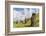 Moai Sculptures in Various Stages of Completion at Rano Raraku-Michael Nolan-Framed Photographic Print