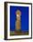 Moai Statue Ahu Ko Te Riku, the Only Topknotted and Eyeballed Moai on the Island, Rapa Nui, Chile-Gavin Hellier-Framed Photographic Print