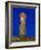 Moai Statue Ahu Ko Te Riku, the Only Topknotted and Eyeballed Moai on the Island, Rapa Nui, Chile-Gavin Hellier-Framed Photographic Print