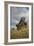 Moai Statue, Quarry On Easter Island, Chile, Remote Volcanic Island In Polynesia-Karine Aigner-Framed Photographic Print