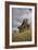 Moai Statue, Quarry On Easter Island, Chile, Remote Volcanic Island In Polynesia-Karine Aigner-Framed Photographic Print